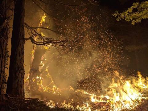 A photo taken at night time of trees and woodland on fire, with lots of sparks in the air.